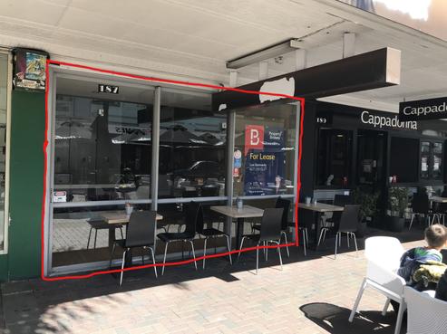 187 Emerson Street, Napier South
