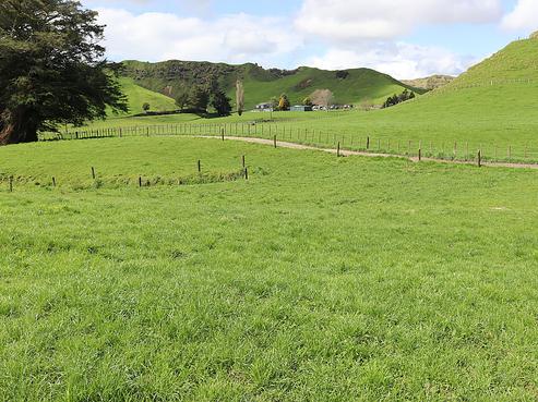 296 Raupuha Road, Douglas