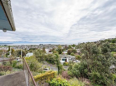 61 Chamberlain Street, Tahunanui