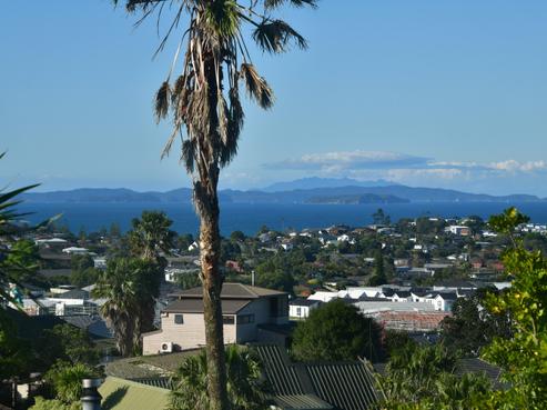 24 Whangaparaoa Road, Red Beach
