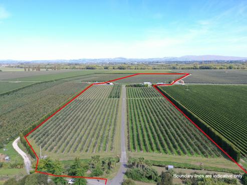 1419 Korokipo Road, Taradale