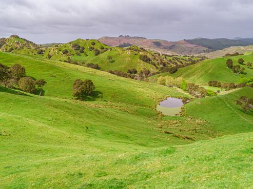 2738 Masterton Castlepoint Road, Mangapakeha