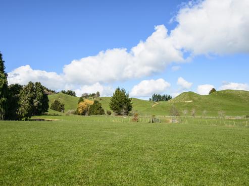 208 Smiths Road, Ohakune