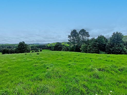 439 Tapuhi Road, Hukerenui and Surrounds
