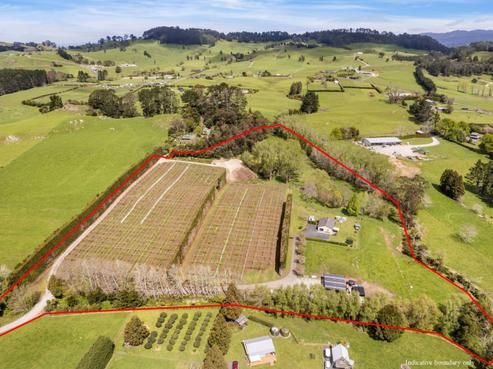 493A Golden Valley Road, Waihi