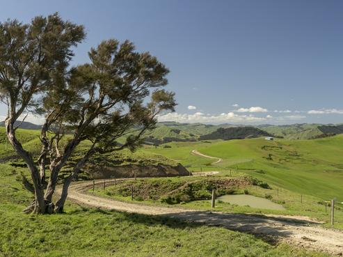 253 Bute Road, Mangapakeha