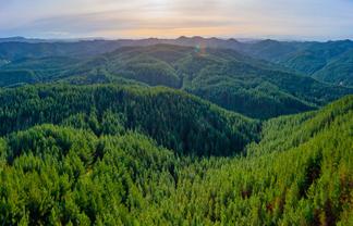  Pine Farm 65, Tiniroto