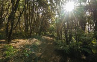 1/20 Taiwawe Lane, Hot Water Beach