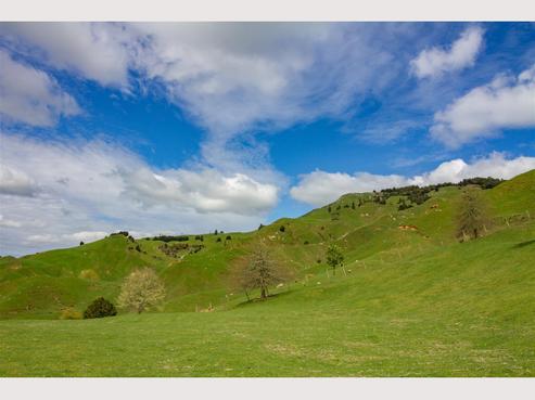 2741 Ngakonui-ongarue Road, Waimiha-Ongarue