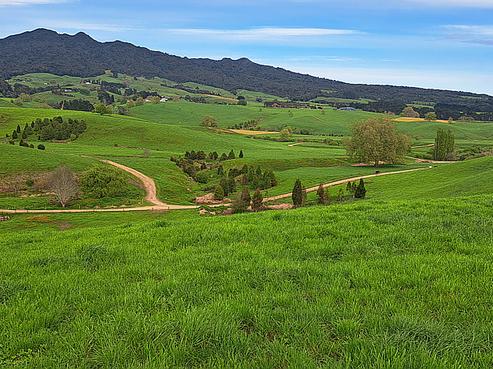 175 O'Shea Road, Pirongia