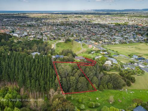 19 Ridgeway Terrace, Taradale