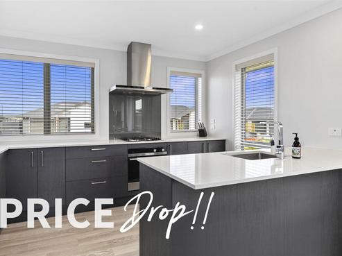 8 Harp Street, Morrinsville