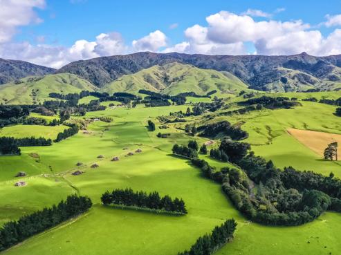 1091 Kopikopiko Road, Eketahuna