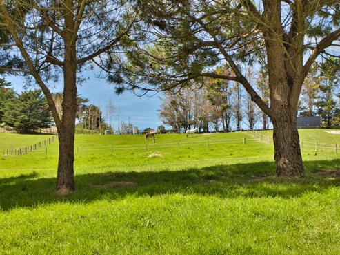 100 Devich Road, Mangawhai