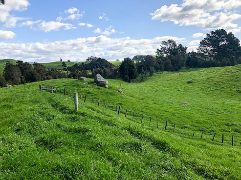 428 Whatauri Road, Wharepapa South