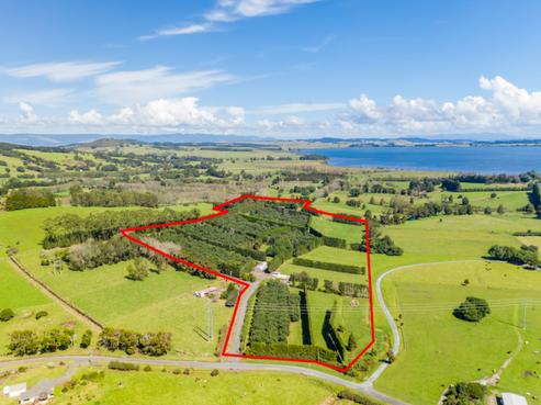 168 Hariru Road, Ohaeawai
