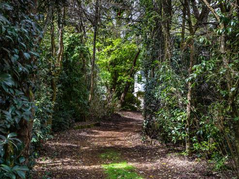 17 Taupahi Road, Turangi