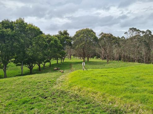 54 Hall Road, Tinopai