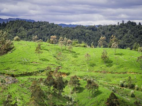 173 Luttrell Road, Ruatoki
