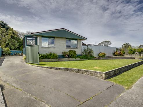 20 Plunket Street, Tamatea
