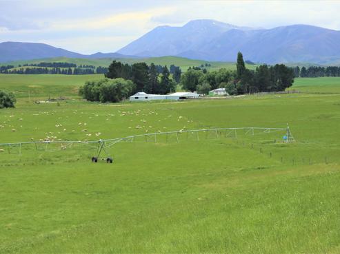 398 Beattie Road, Omakau