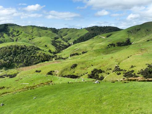 464 Castle Hill Road, Alfredton