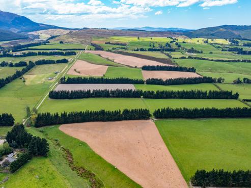 12 Smarts Road, Loburn