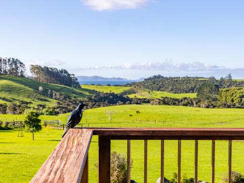 807 Purerua Road, Kerikeri Surrounds