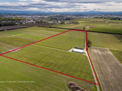 196 Saint Georges Road, Karamu