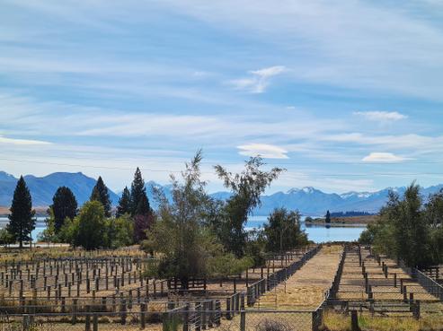 9 Dwyer Place, Lake Tekapo