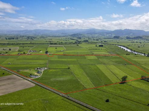 156 Old Netherton Road, Paeroa