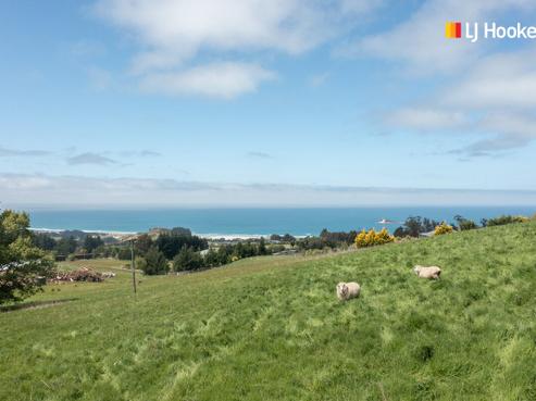89 Mcmaster Road, Saddle Hill