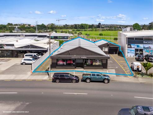 73 Barrys Point Road, Takapuna
