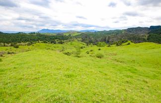 58 Hicks Rd, Broadwood