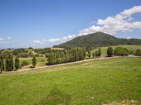 313 Gibbons Road, Kaiwaka
