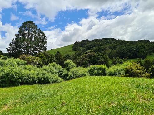 83 Payne Road, Topuni