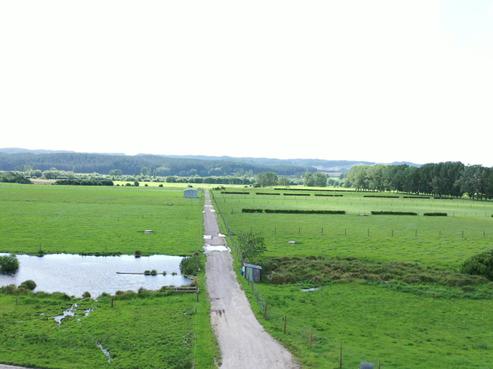 4980 Galatea Road, Galatea