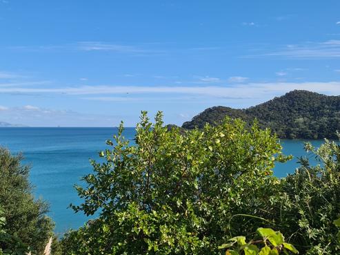781 Whangaparapara Road, Great Barrier Island