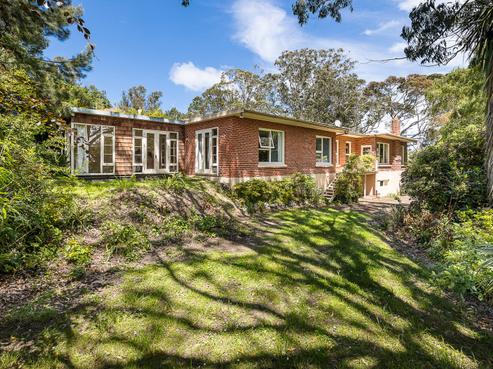 45 Every Street, Andersons Bay