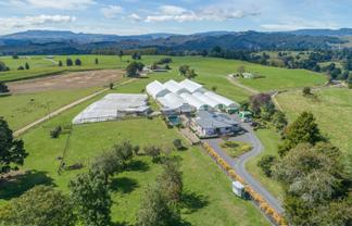 163 Waitea Branch Road, Kakahi