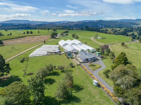 163 Waitea Branch Road, Kakahi