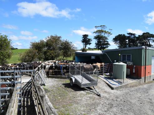 811 Port Albert Road, Wellsford