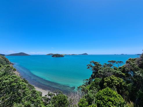 1600 Wyuna Bay Road, Coromandel