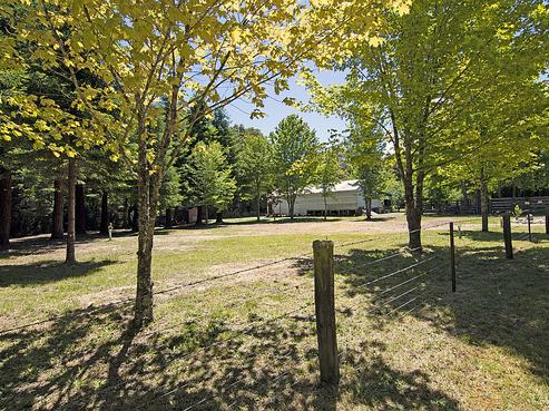 2742 Tadmor-glenhope Road, Tapawera