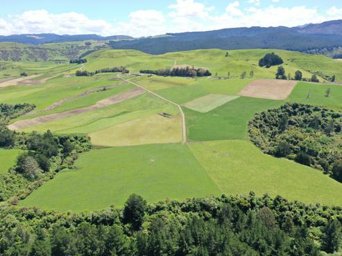 635 Hawkston Road, Hastings Country