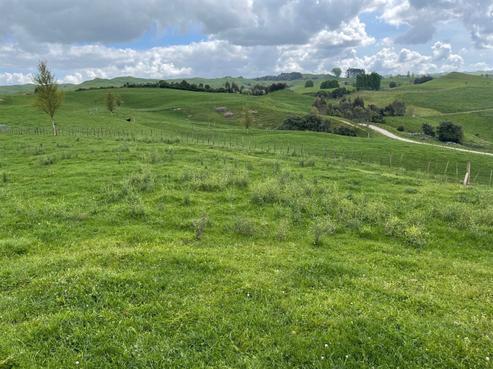 840 Troopers Road, Te Kuiti