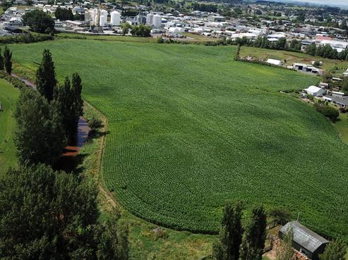 1154 Ohaupo Road, Te Awamutu