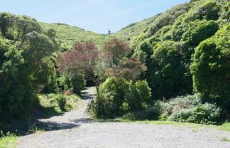 184 Glanmire Road, Newlands