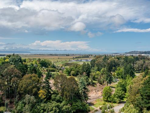 88 Oak Road, Poraiti