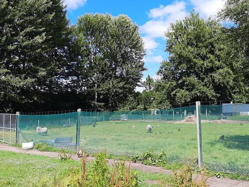 1 John Bull Place, Temuka